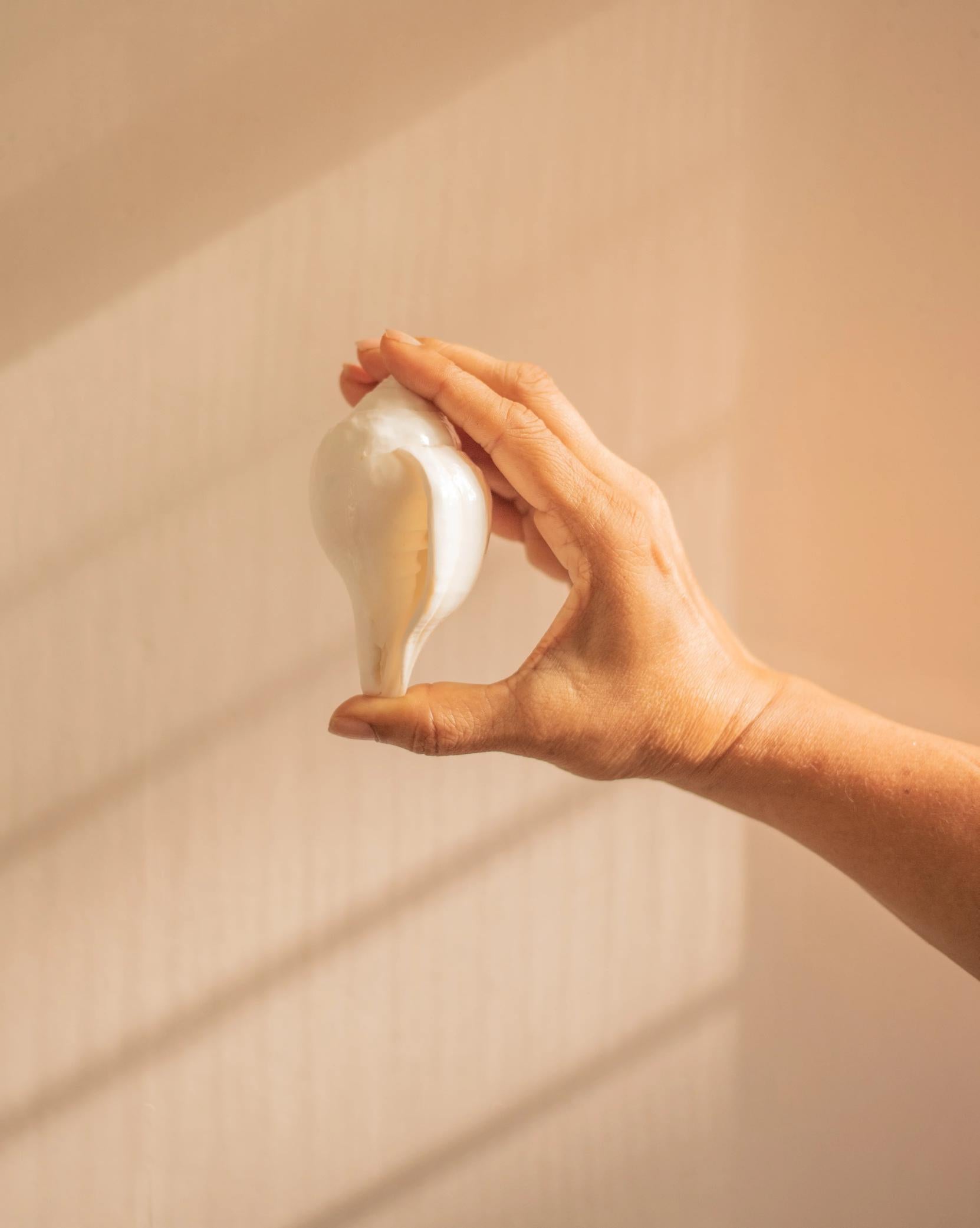 Indie Extracts Sampler Box | All-Inclusive solution for holistic wellness.