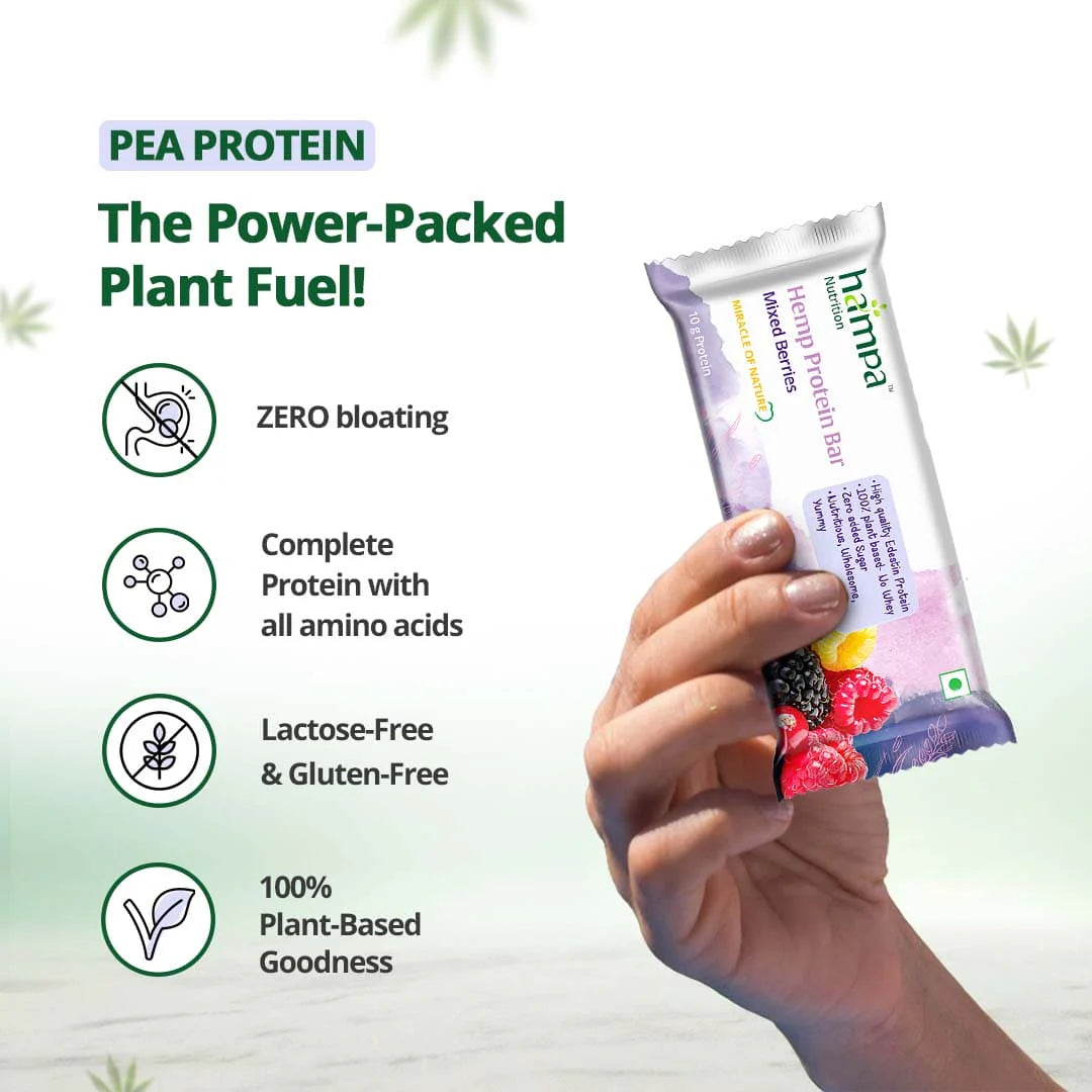 Hampa Hemp Protein Bar 50g - Mixed Flavours