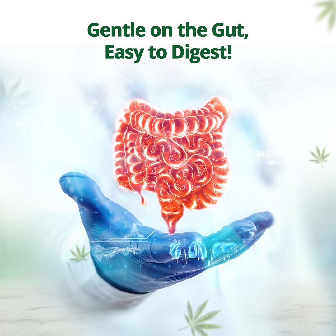 CBD Store India