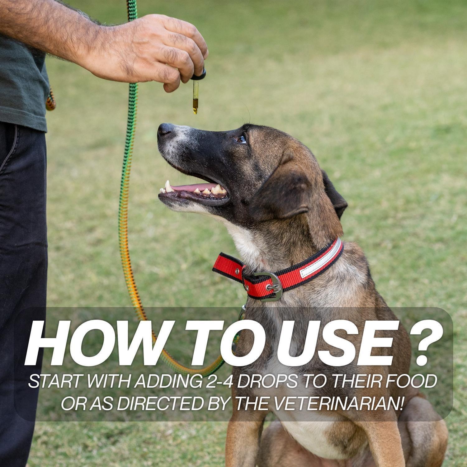 Hempbuti Overparent Supplement Drops For Large Pets 30 Ml.