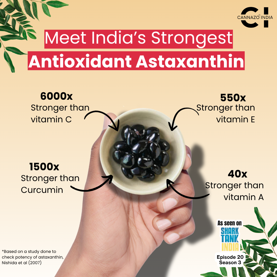 Cannazo AstaZen – Softgel (Continuity Hemp Seed Oil + Astaxanthin) 30 Capsules.