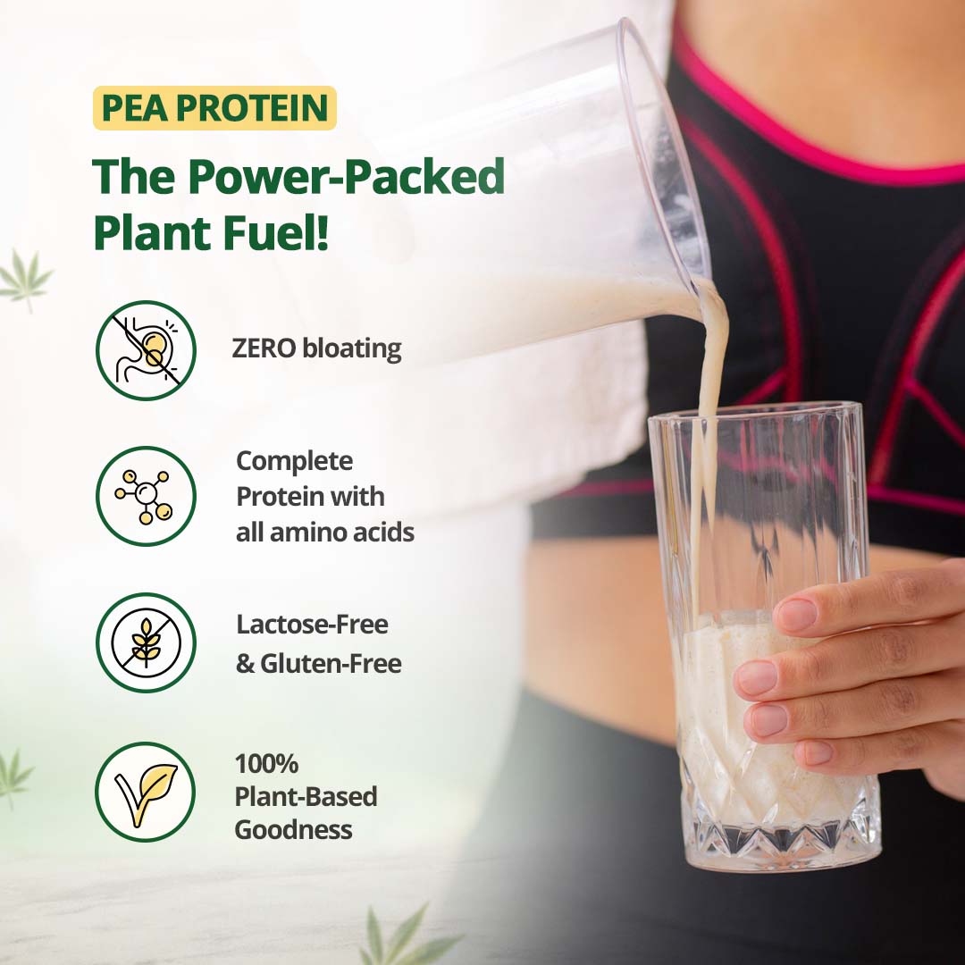 Hampa Wellness - Protein Powder - Mixed Flavours