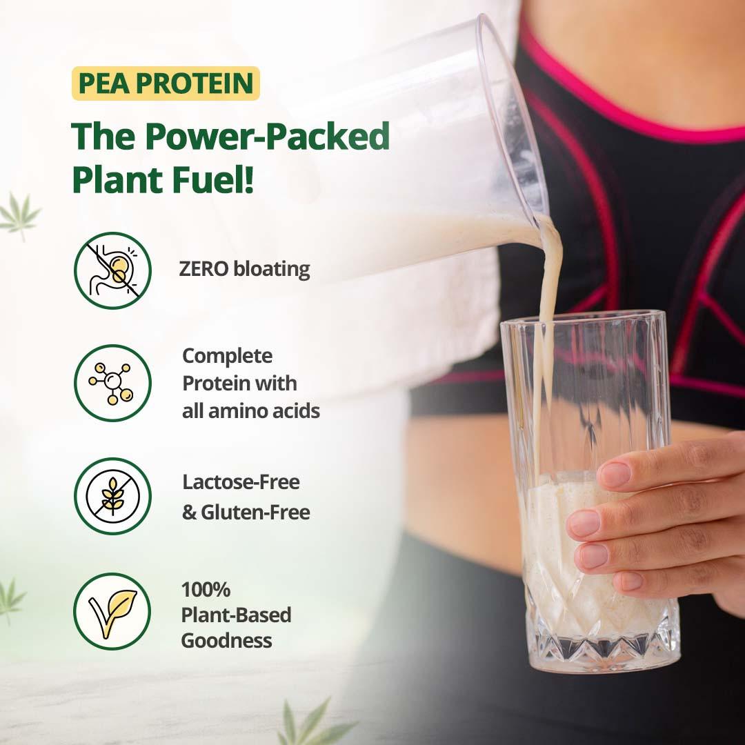 Hampa Wellness - Protein Powder - Mixed Flavours.