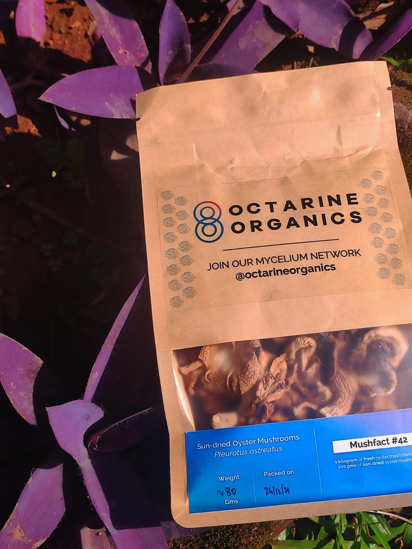 Octarine Organics Dried Oyster Mushrooms – Nutrient-Rich Culinary Superfood