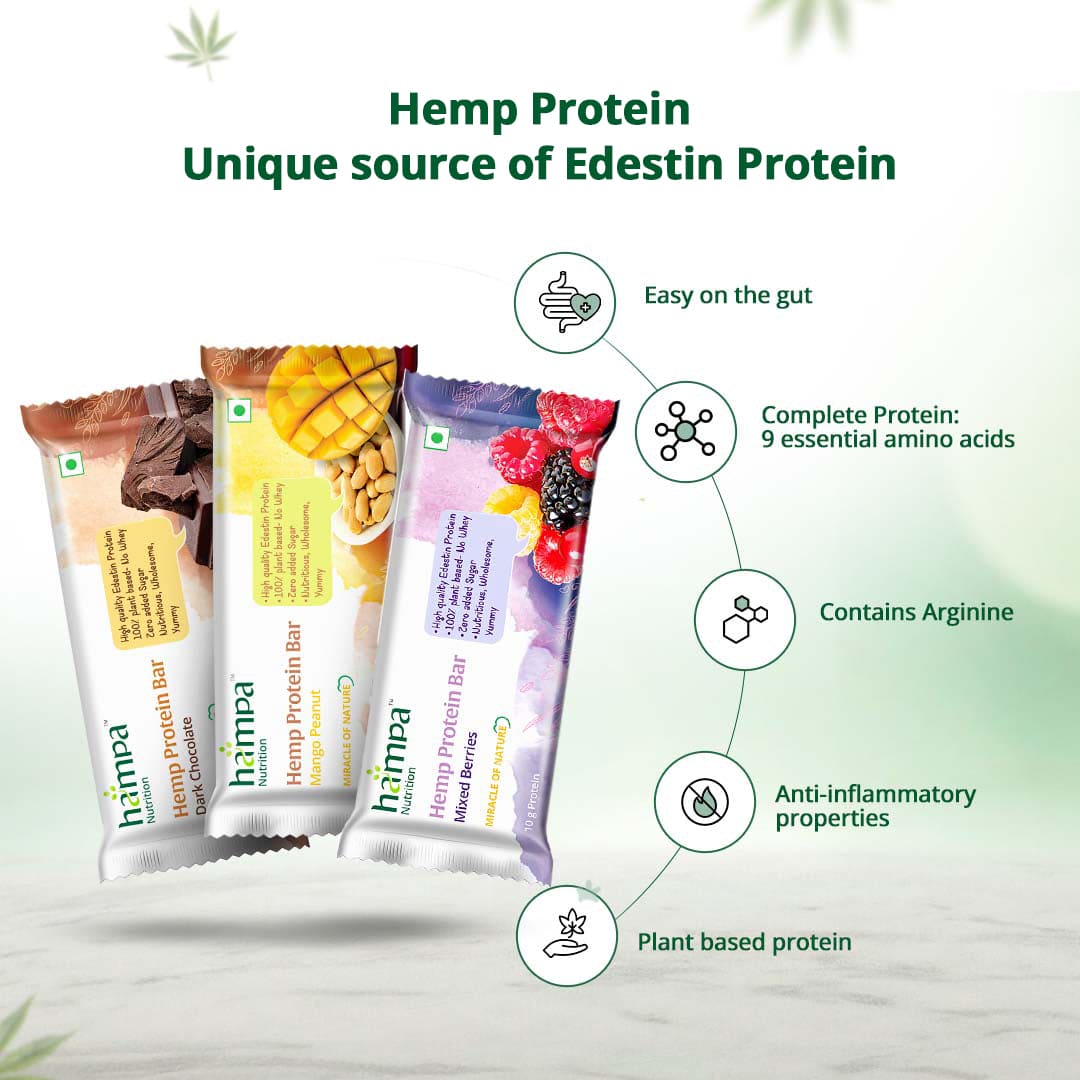 Hampa Hemp Protein Bar 50g - Mixed Flavours