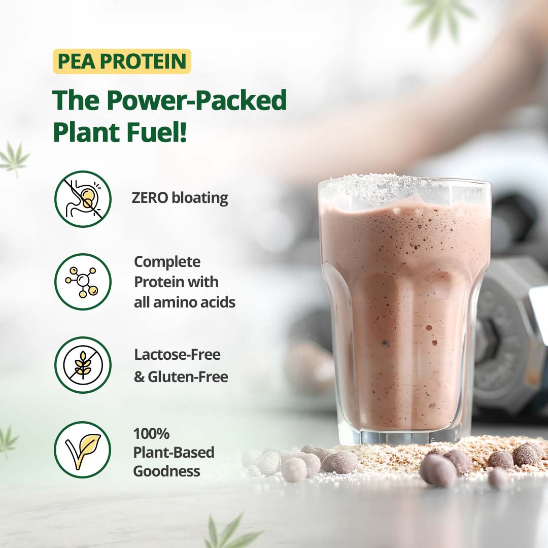 Hampa Wellness - Protein Powder - Coffee.