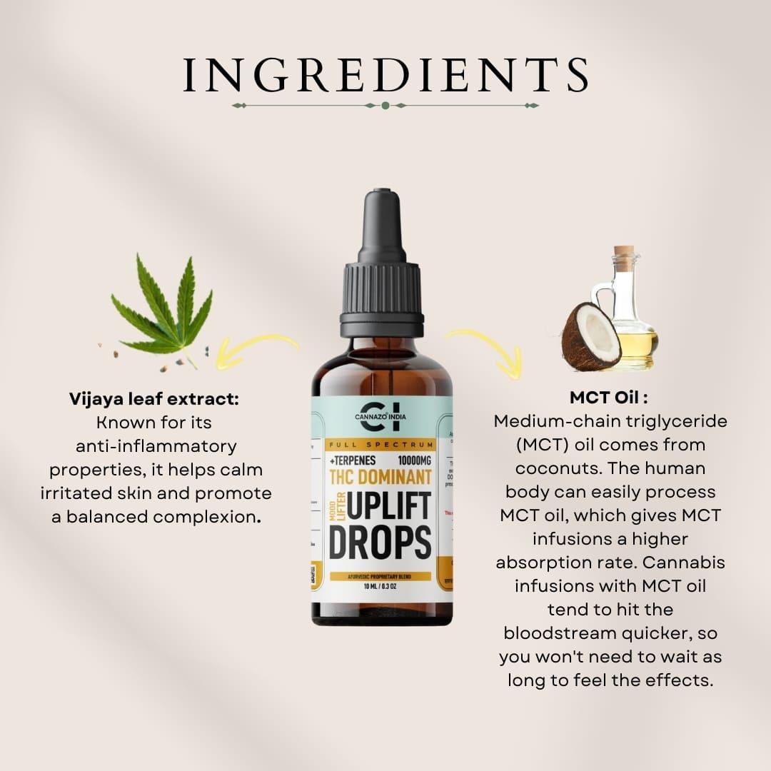 Cannazo - Uplift Drops – THC Dominant – Mood LiftersTHC Rich CBD OilCannazo Drops – THC Mood Enhancers | Pain Relief Support