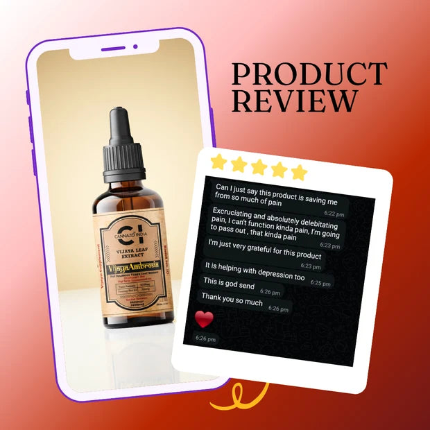 Cannazo Elevate+ Drops (Vijaya Ambrosia) with Naturally Derived CBD & THC for Pain, Sleep & Recovery