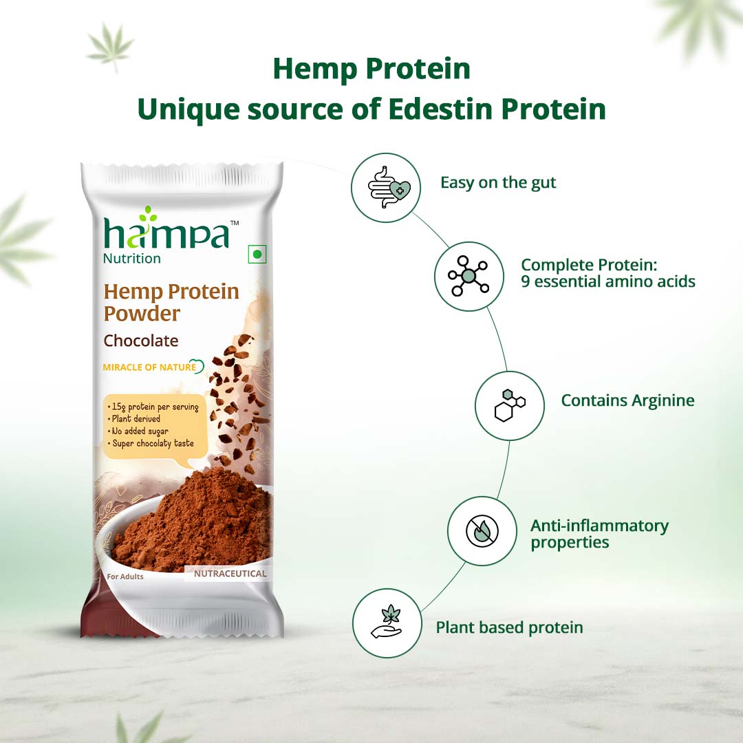 Hampa Wellness - Protein Powder - Chocolate