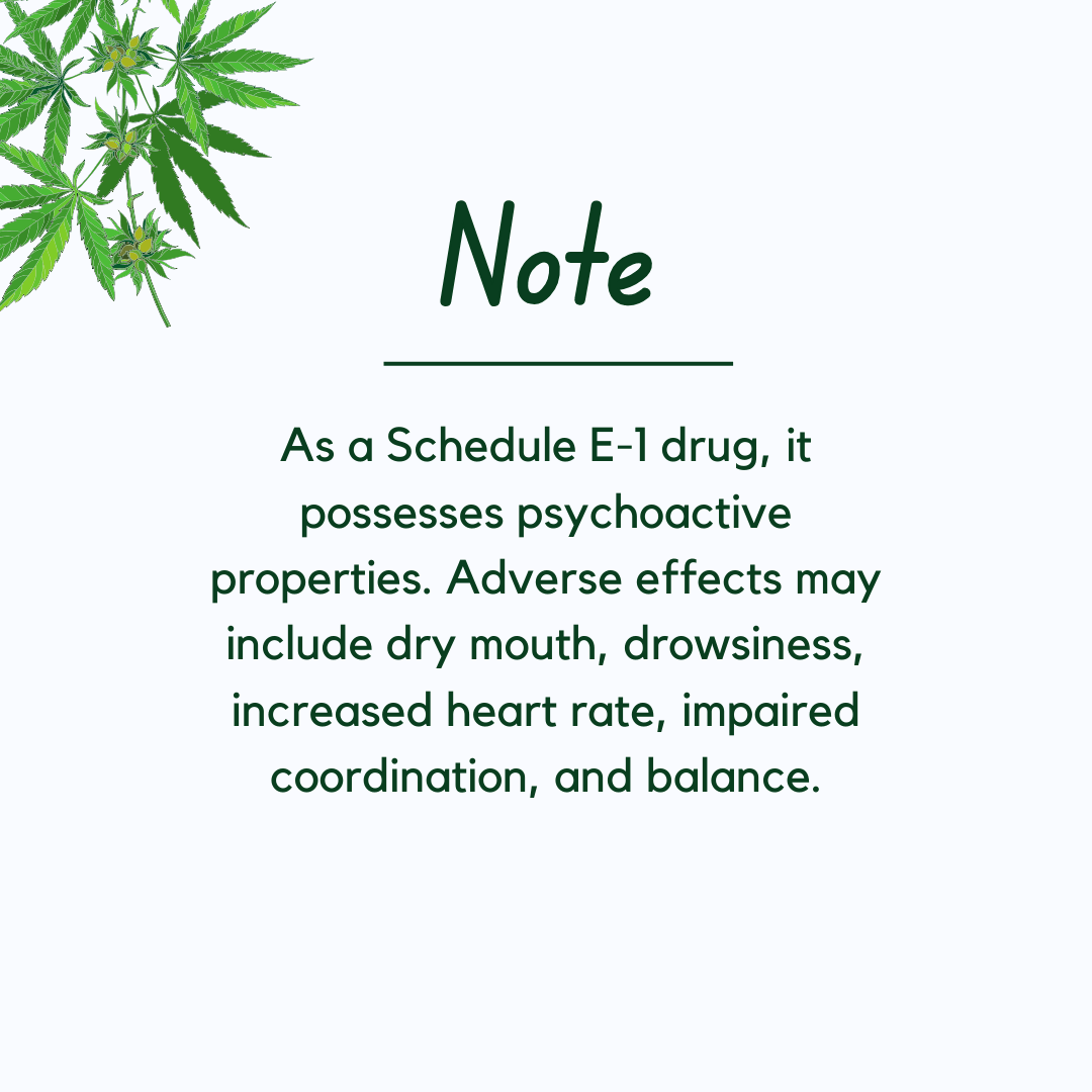 Medicann- Cannabis Leaf Extract Capsule - 50mg.