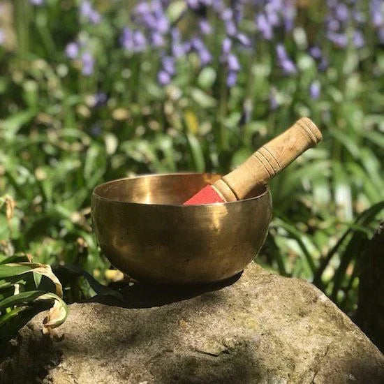 Sound Healing Teacher Training Course In Goa