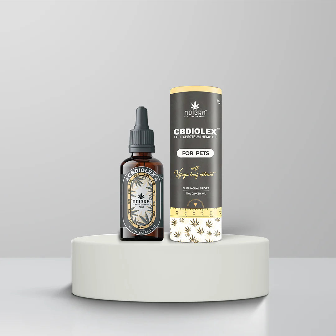 Pet CBD Oil - Noigra Cbdiloex For Pets