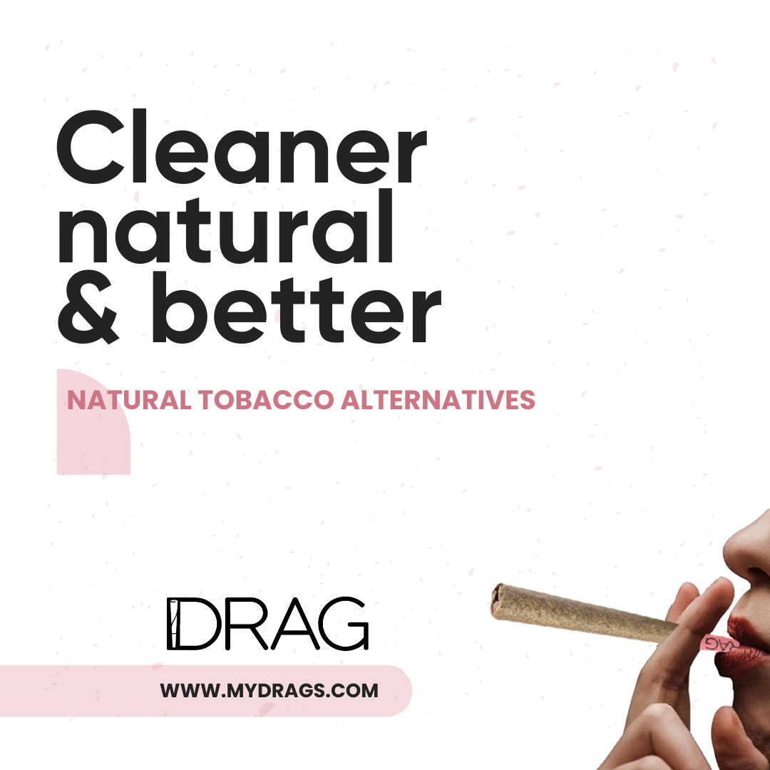 Drag Rose - Herbal Preroll | Mugwort & Rose Petals | Tobacco-Free & Nicotine-Free