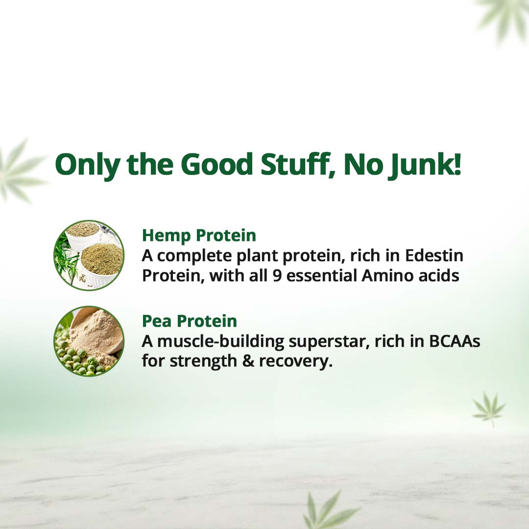 Hampa Wellness - Protein Powder - Mixed Flavours