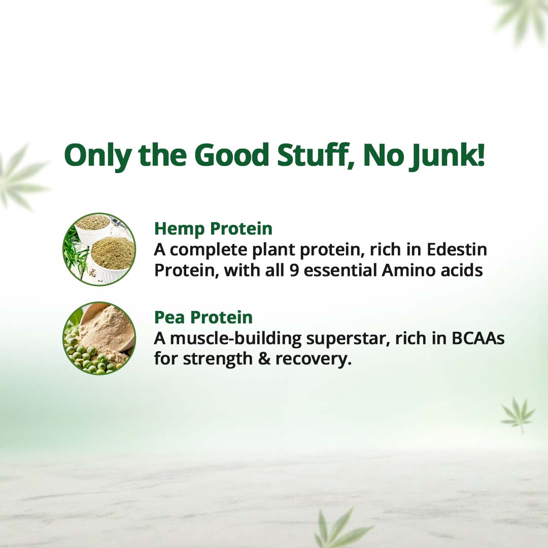 Hampa Wellness - Protein Powder - Coffee