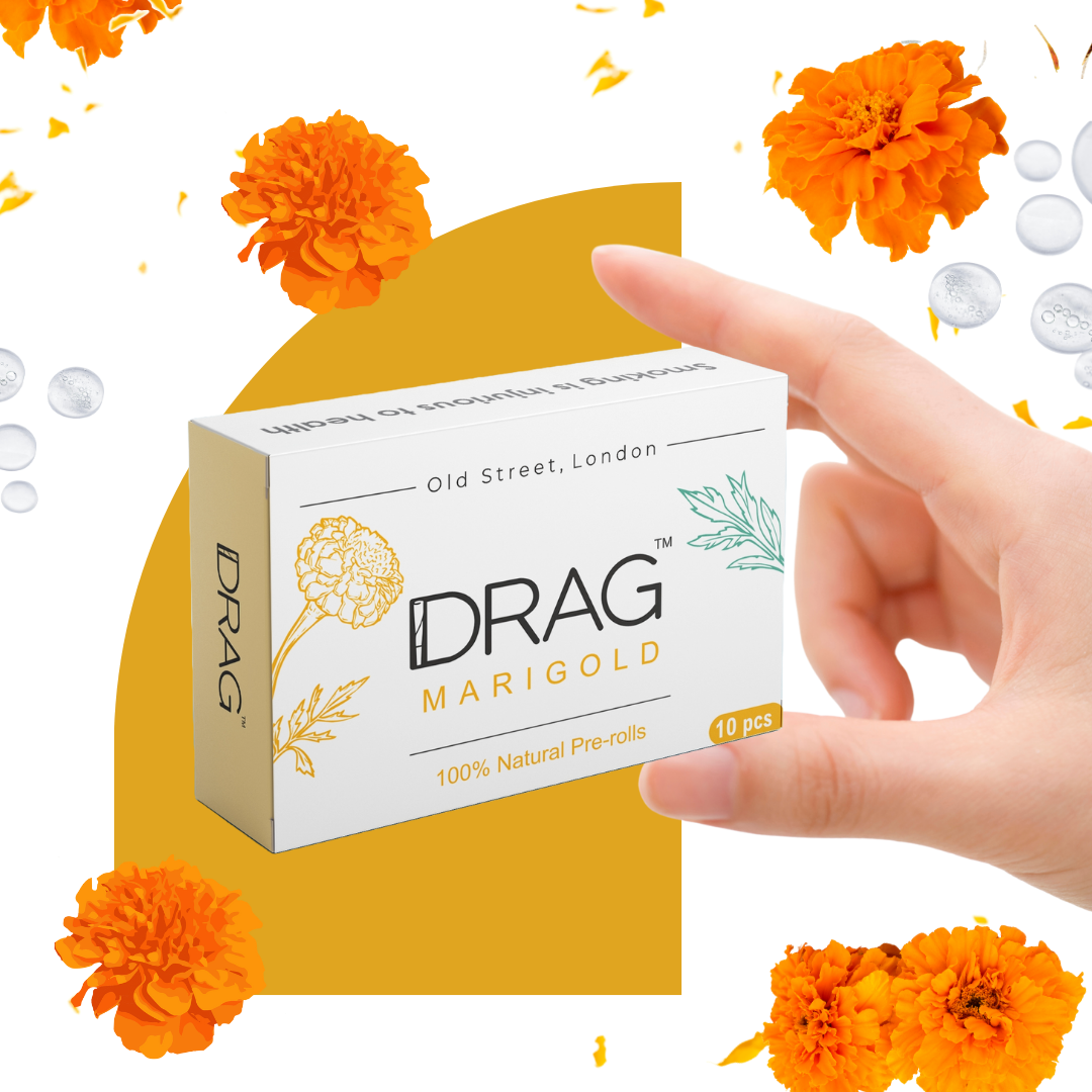 Drag Marigold - Herbal Preroll | Mugwort & Marigold Petals | Tobacco-Free & Nicotine-Free