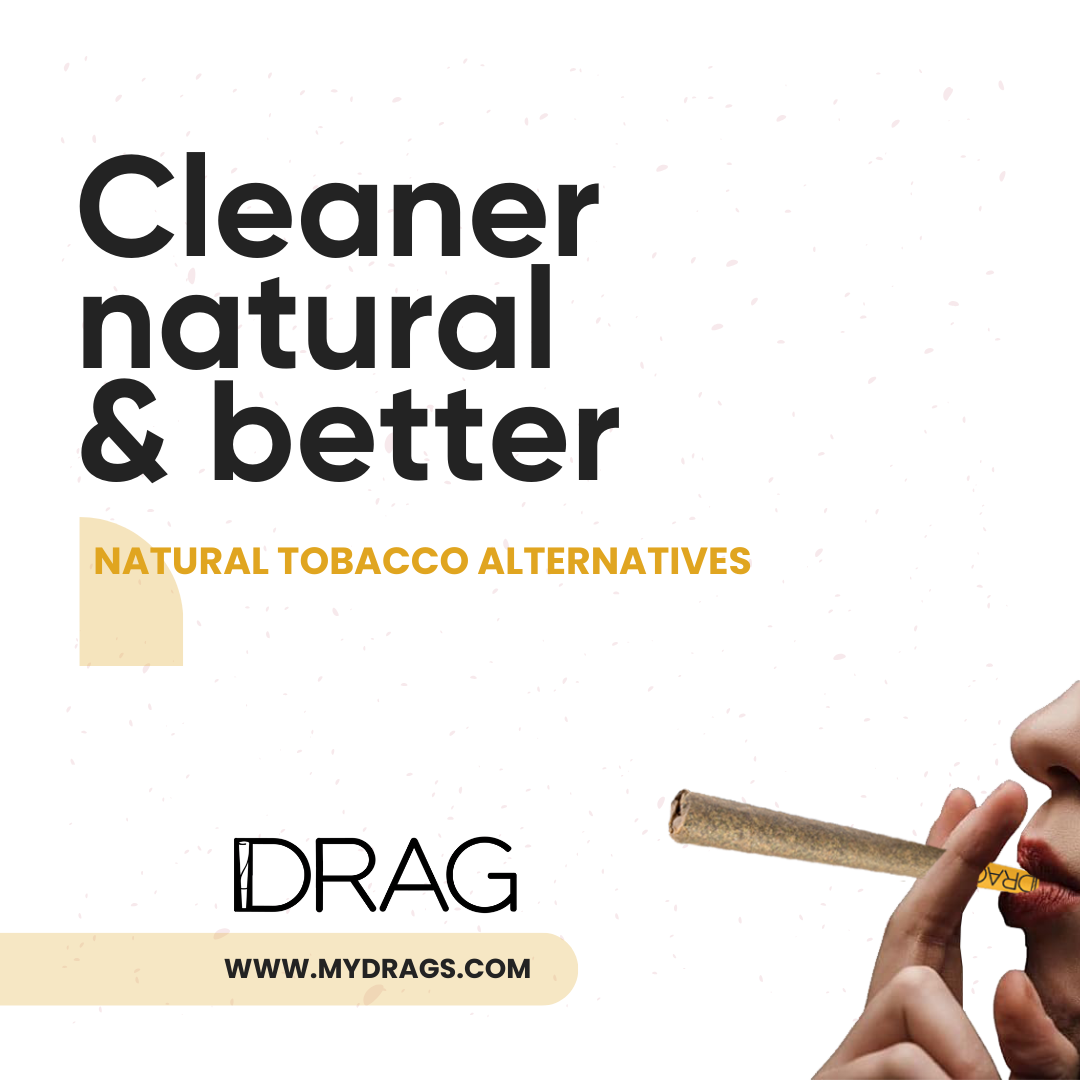 Drag Marigold - Herbal Preroll | Mugwort & Marigold Petals | Tobacco-Free & Nicotine-Free