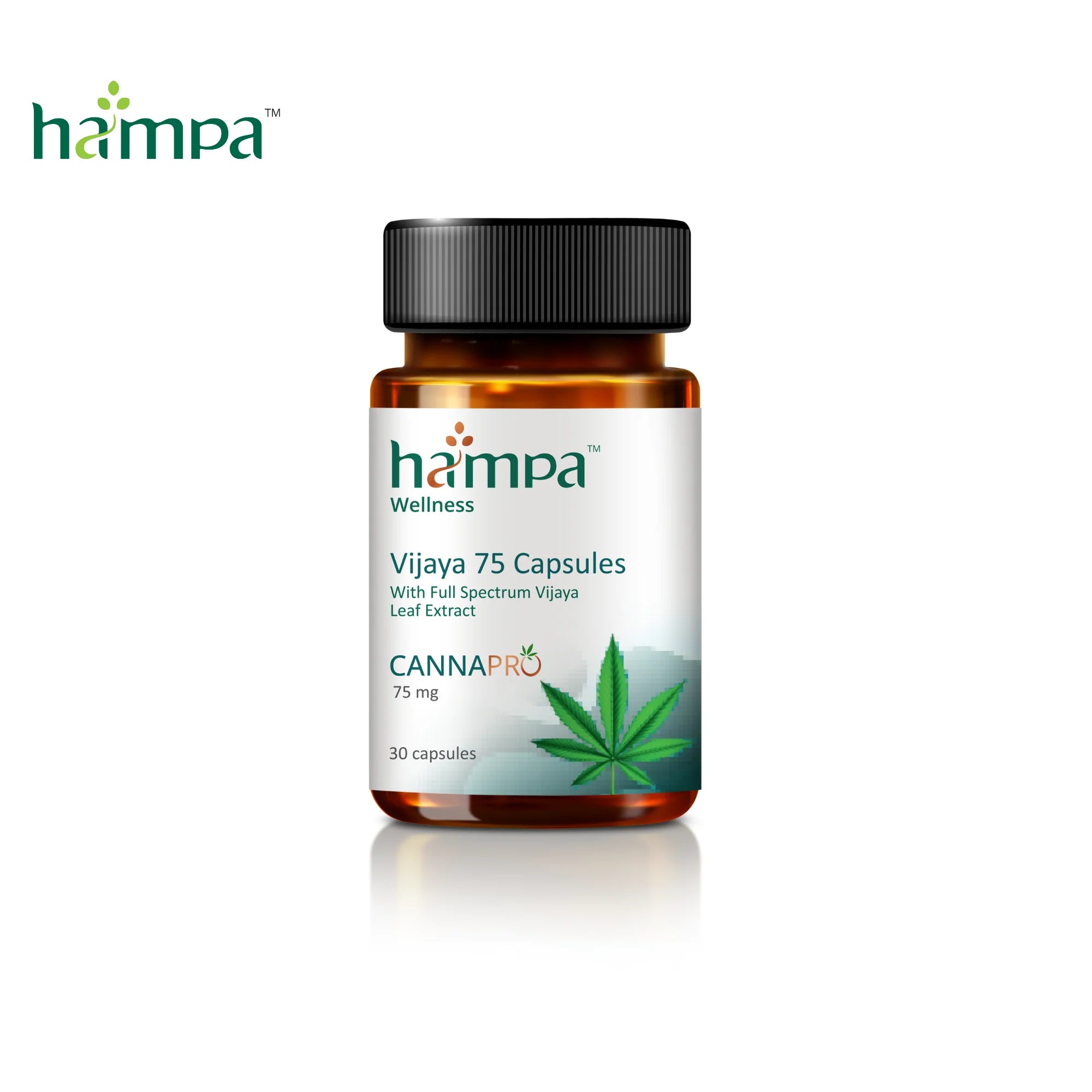 Hampa Vijaya 75 Capsules | Full-Spectrum Cannabis Extract Capsules.