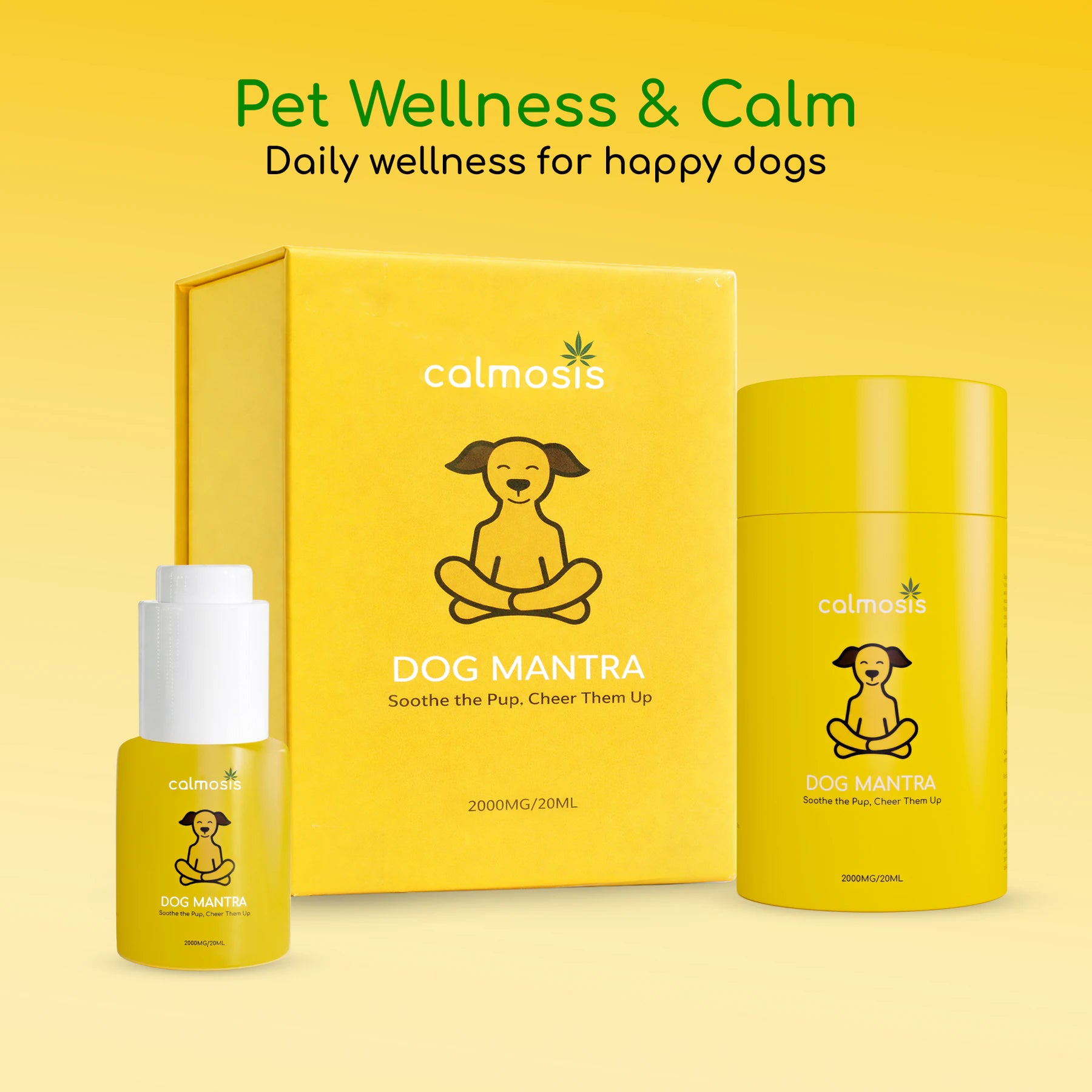 Calmosis Dog Mantra CBD Oil 2000mg | THC-Free Cannabis Extract for Dog Anxiety, Joint Pain & Wellness
