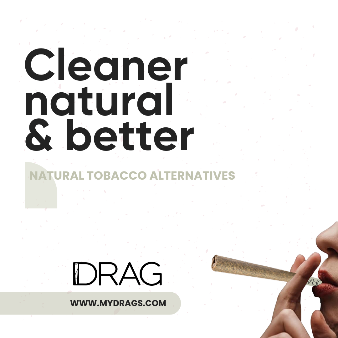 Drag Cardamom - Herbal Preroll | Mugwort & Cardamom Husk | Tobacco-Free & Nicotine-Free