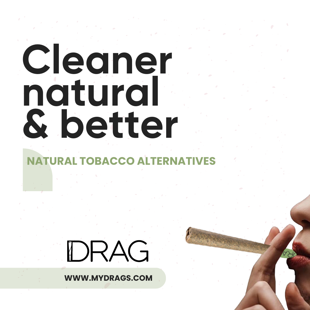 Drag Fennel - Herbal Preroll | Mugwort & Fennel Seeds | Tobacco-Free & Nicotine-Free