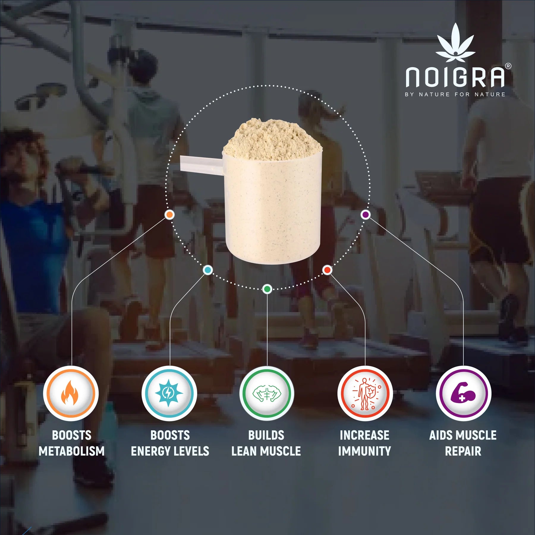 Noigra- Hemp Protein Powder - Vanilla Flavour