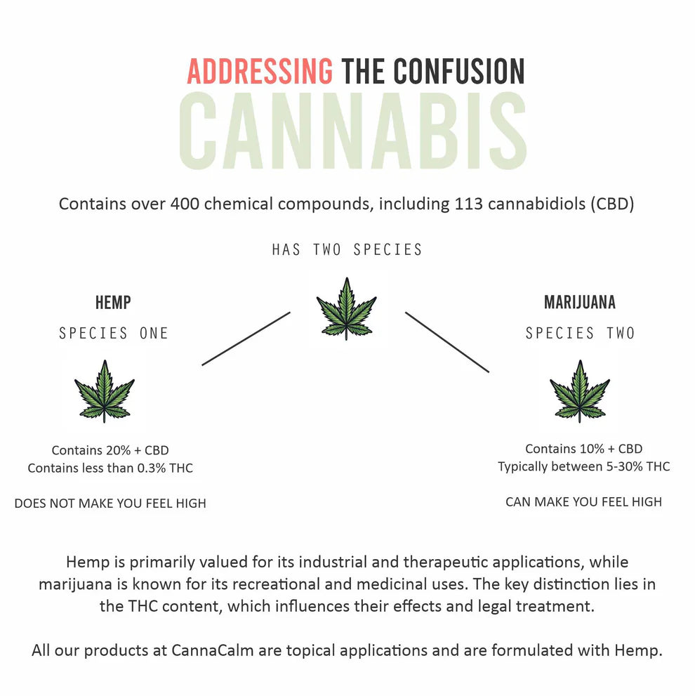 CannaCalm Hemp Massage Lotions-Geranium + Vanilla.