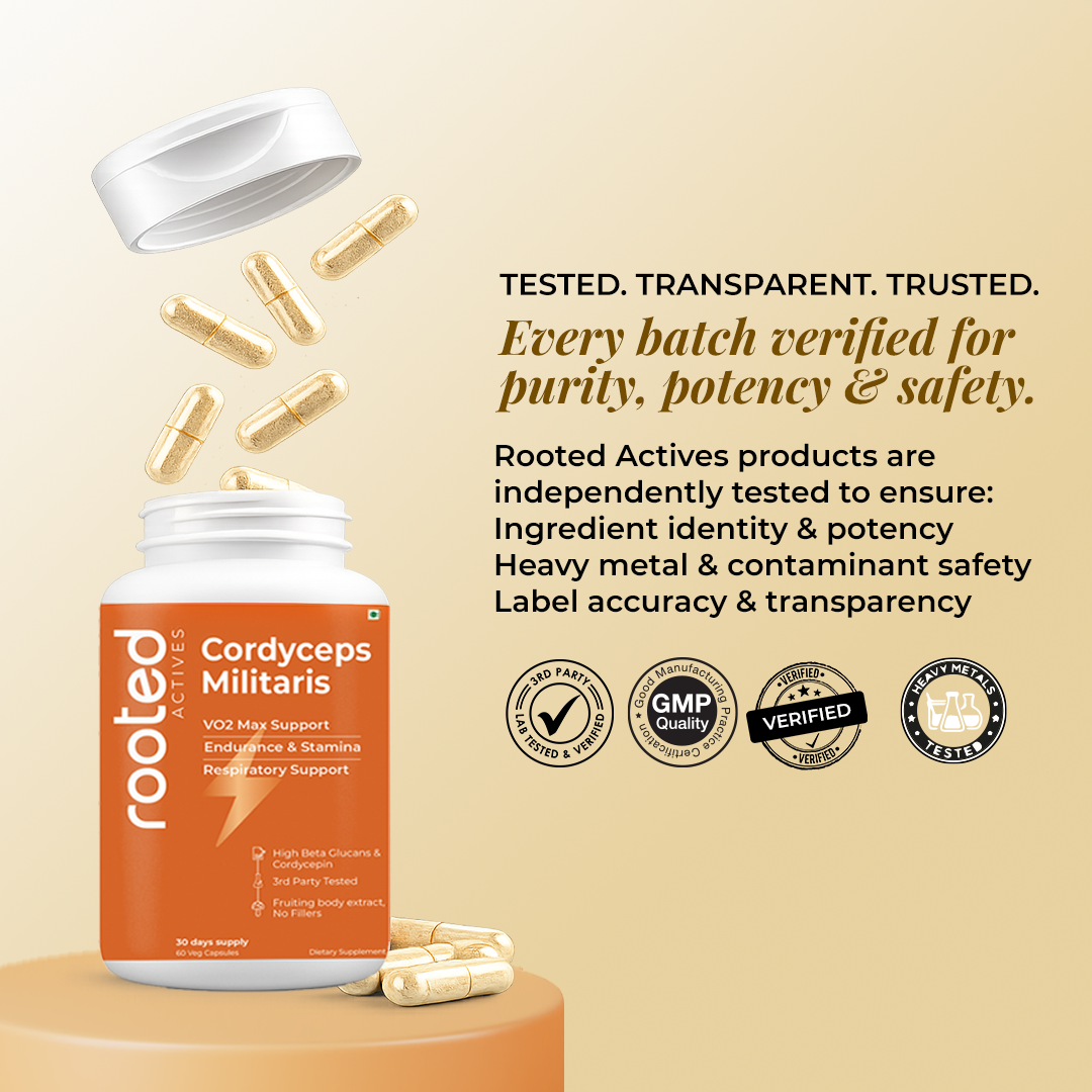 Rooted Actives Cordyceps Militaris Extract Capsules - Adenosine & Cordycepin Standardised | Everyday Energy Routine