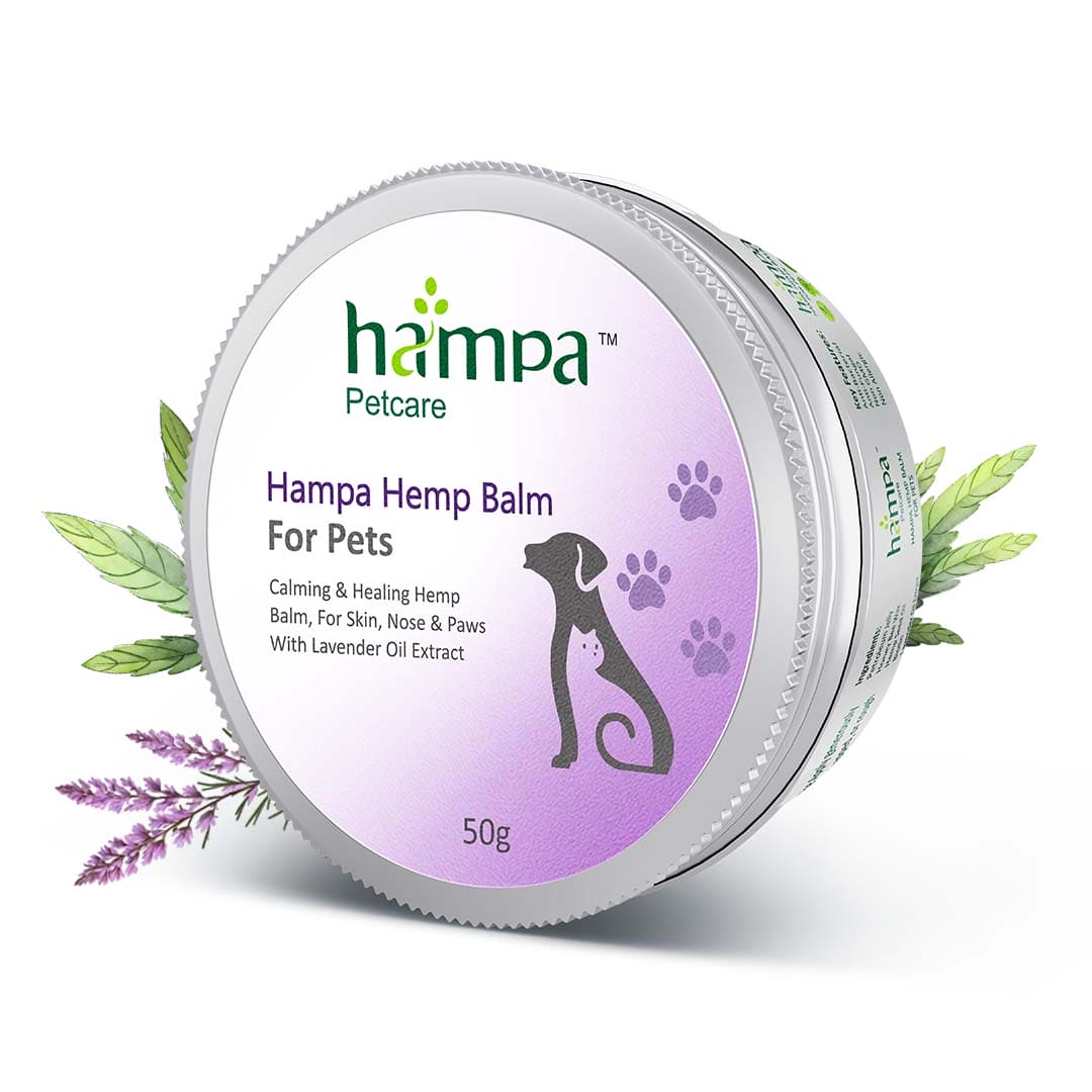 Hampa Wellness Hemp Balm for PetsHemp Balm for Pets