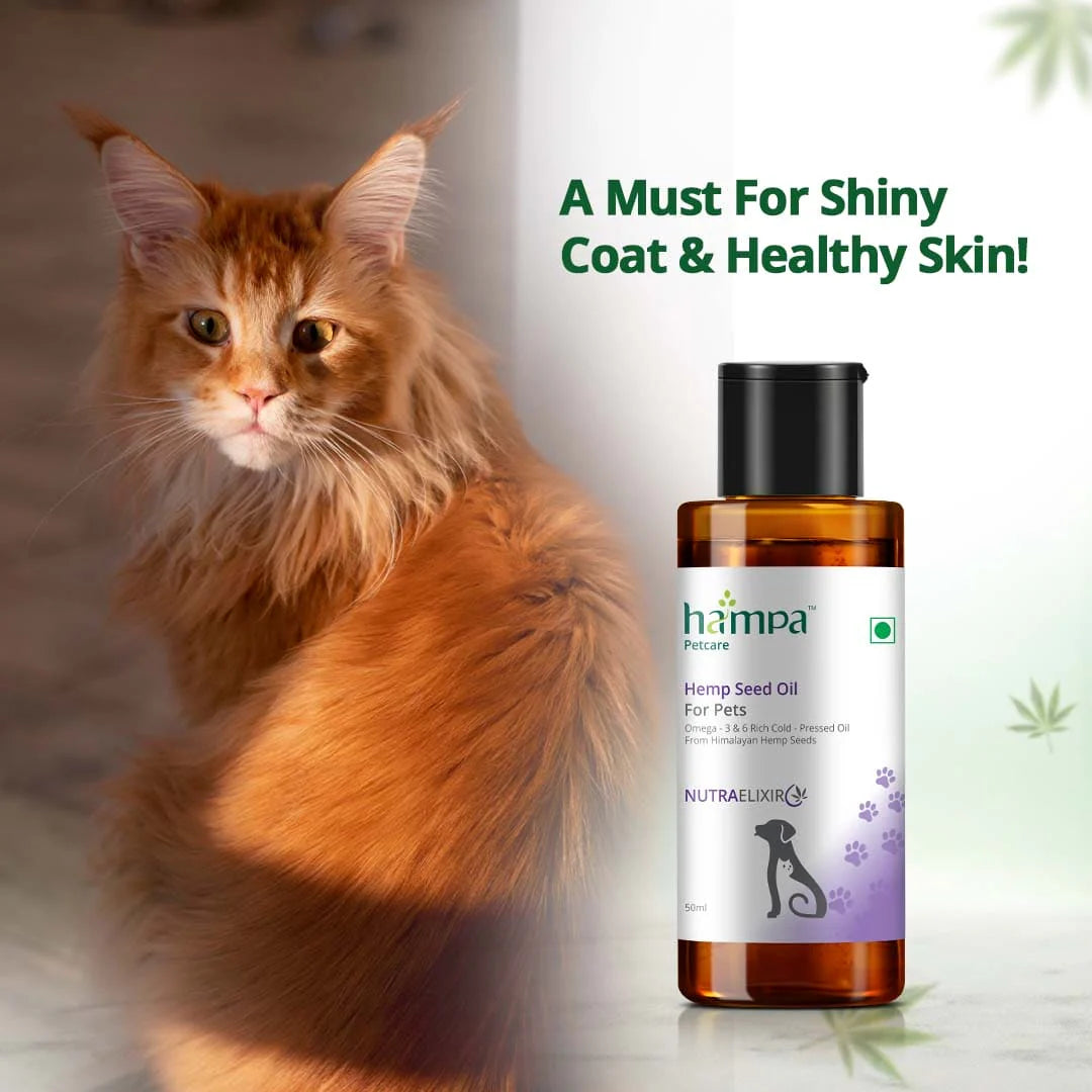CBD Store India