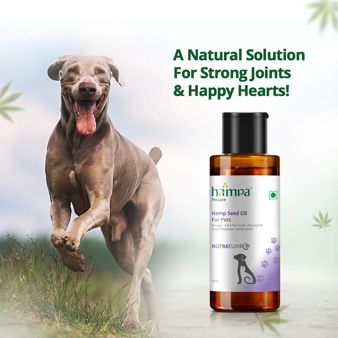 CBD Store India