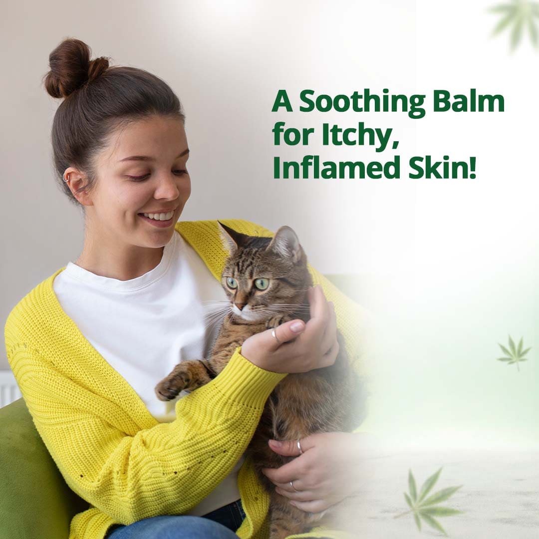 Hampa Wellness Hemp Balm for PetsHemp Balm for Pets