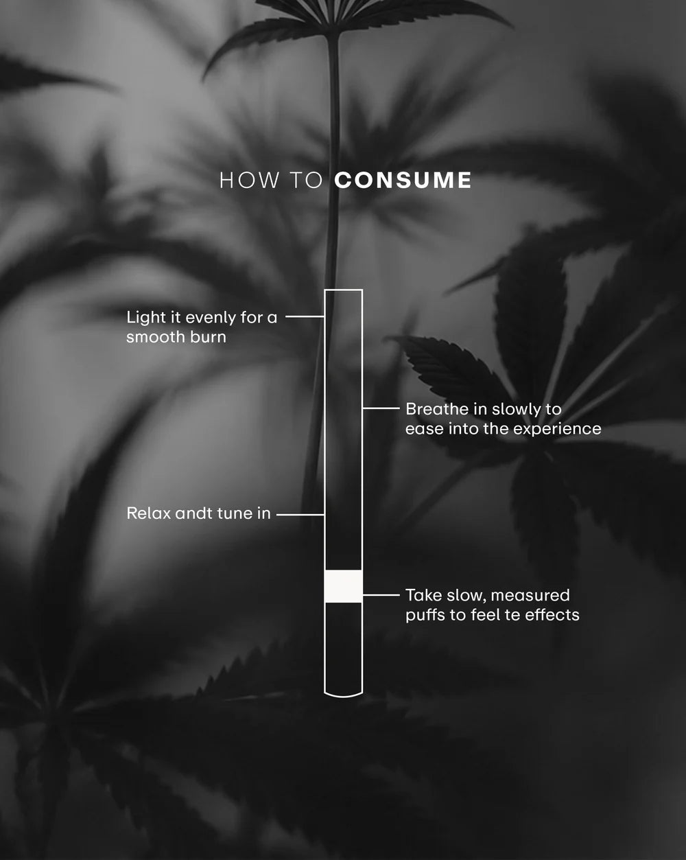 The Trost - Hemp Herbal Cigarette - Boom