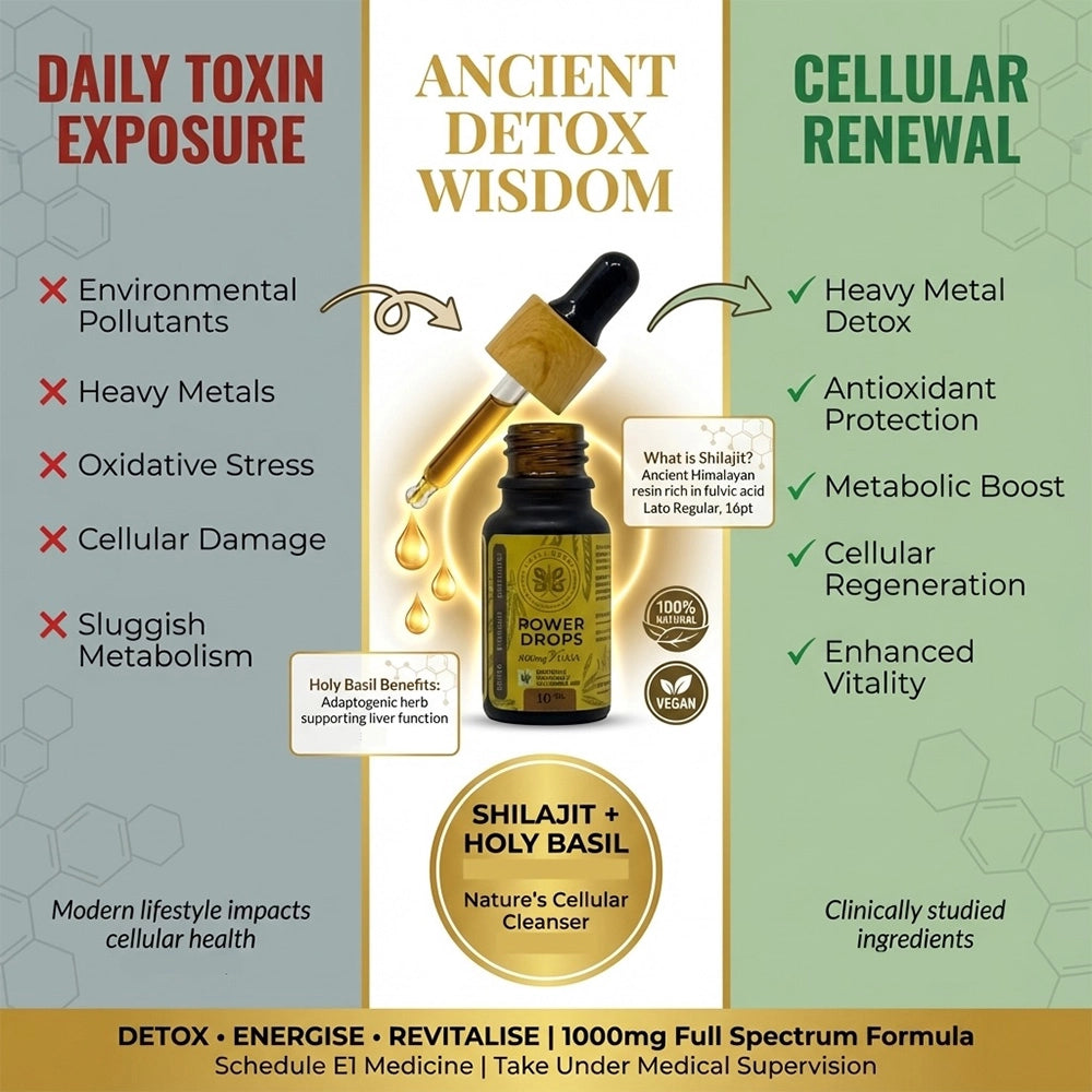 Holi Herb Power Drops 10ml | Vijaya & Nootropic Wellness