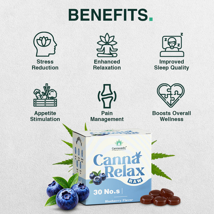 Cannavedic Canna Relax RAW (Blueberry) – Medical Cannabis Gummies | 30mg Ayurvedic Vijaya Candy
