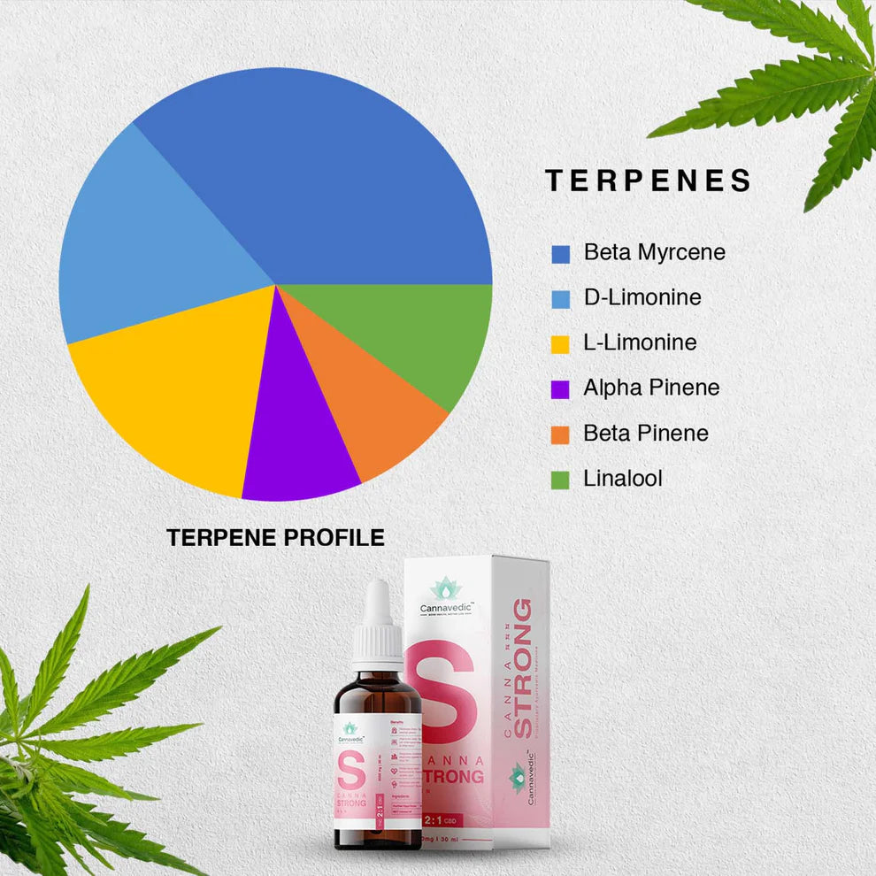 Cannavedic - CannaStrong 3000mg | 30ml | THC+CBD Oil (2:1 THC:CBD) - 100mg/ml.