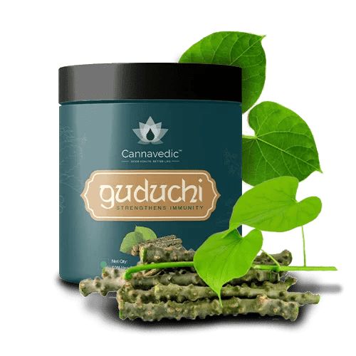 Cannavedic - Guduchi Capsules – Immunity booster(60 capsules)Ayurvedic Tablet