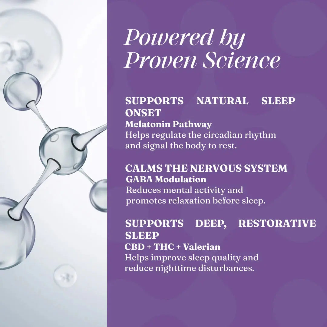 Cannazo Brain Easer - Medical Cannabis Sleep Drops for Insomnia, Restlessness and Sleep Disorders