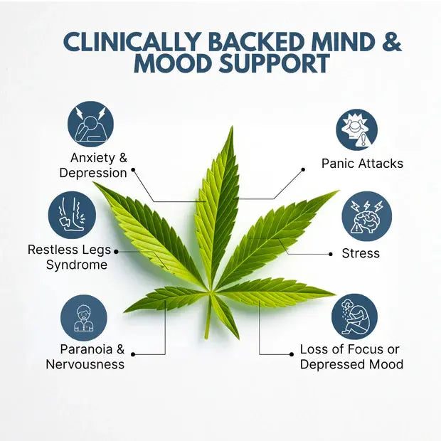 Cannazo Calm Drops: CBD-Dominant Cannabis Drops for Stress, Anxiety and Mood Support