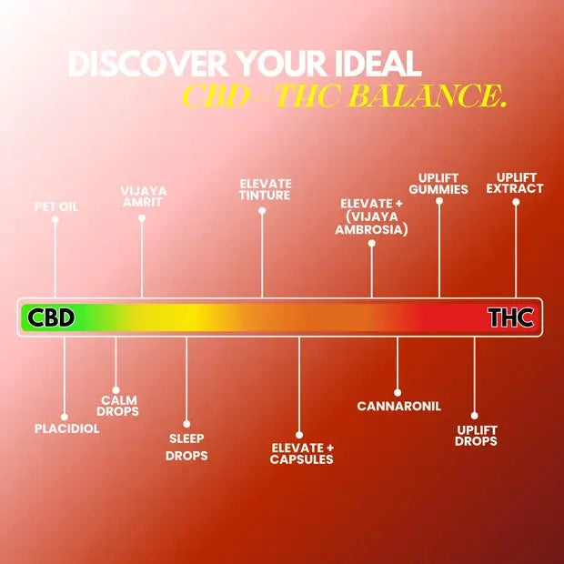 Cannazo Elevate+ Drops (Vijaya Ambrosia) with Naturally Derived CBD & THC for Pain, Sleep & Recovery
