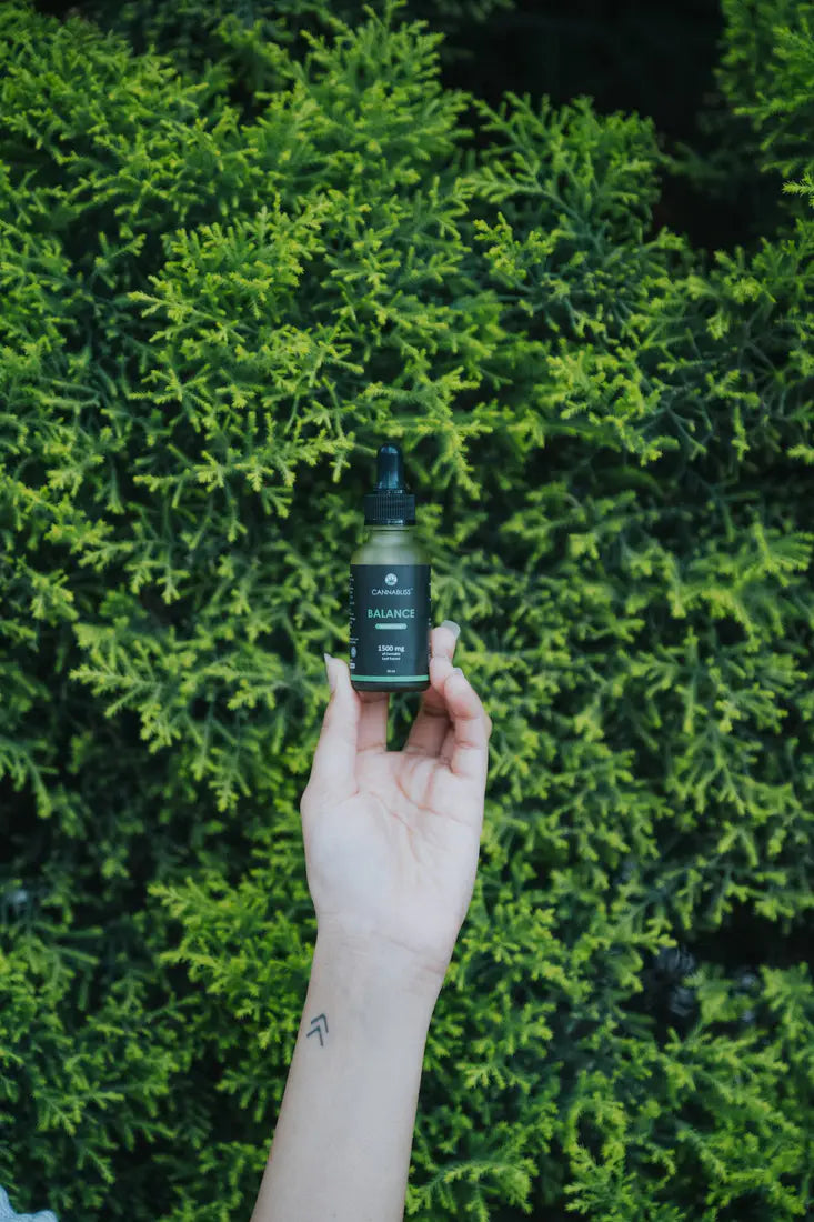 Cannabliss Balance Medical Cannabis Oil – Full-Spectrum (1:3) – 500mg/1500mg.