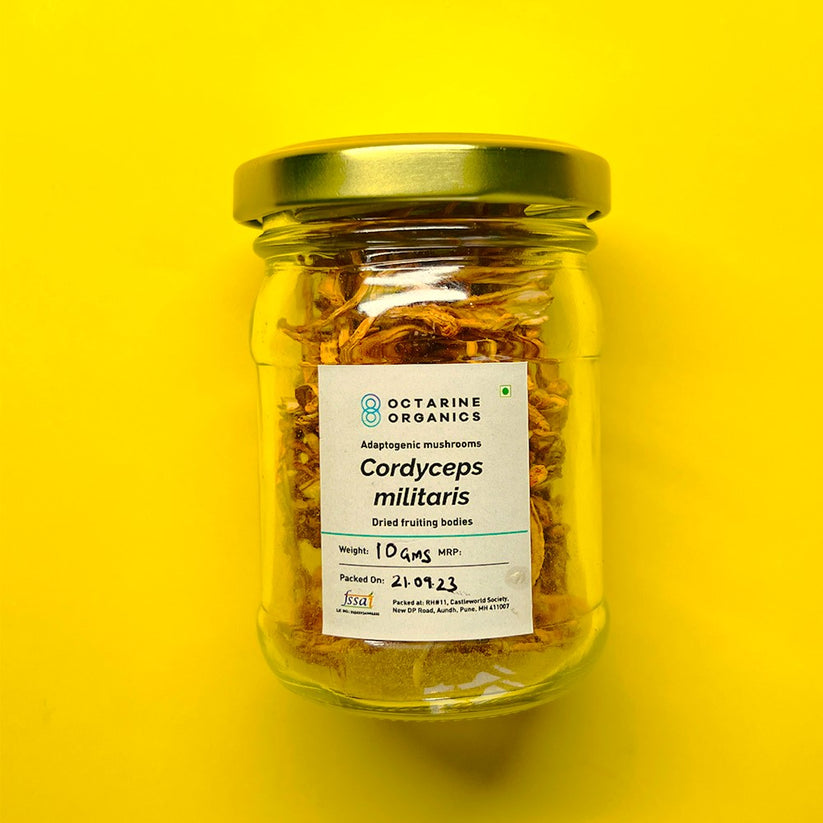 Octarine Organics Cordyceps Militaris – Natural Energy & Stamina Mushroom