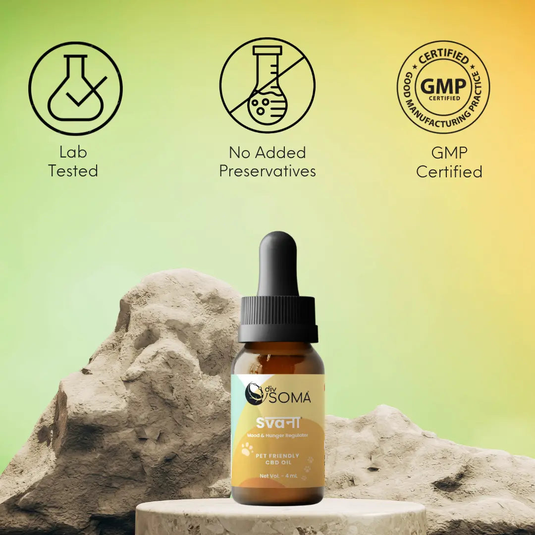 DivSoma Svana – Premium Pet-Friendly CBD Oil.