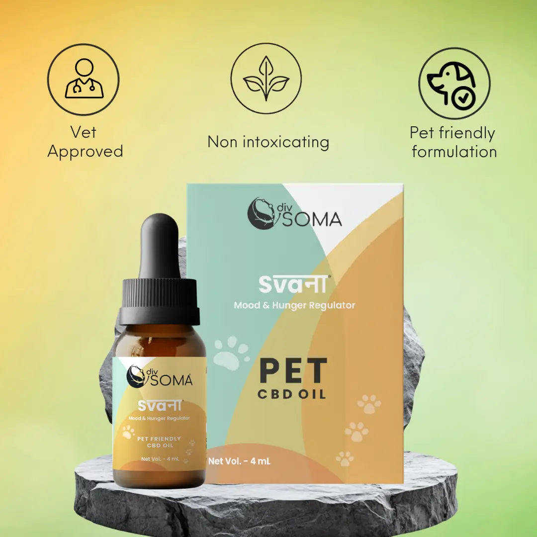 DivSoma Svana – Premium Pet-Friendly CBD Oil.