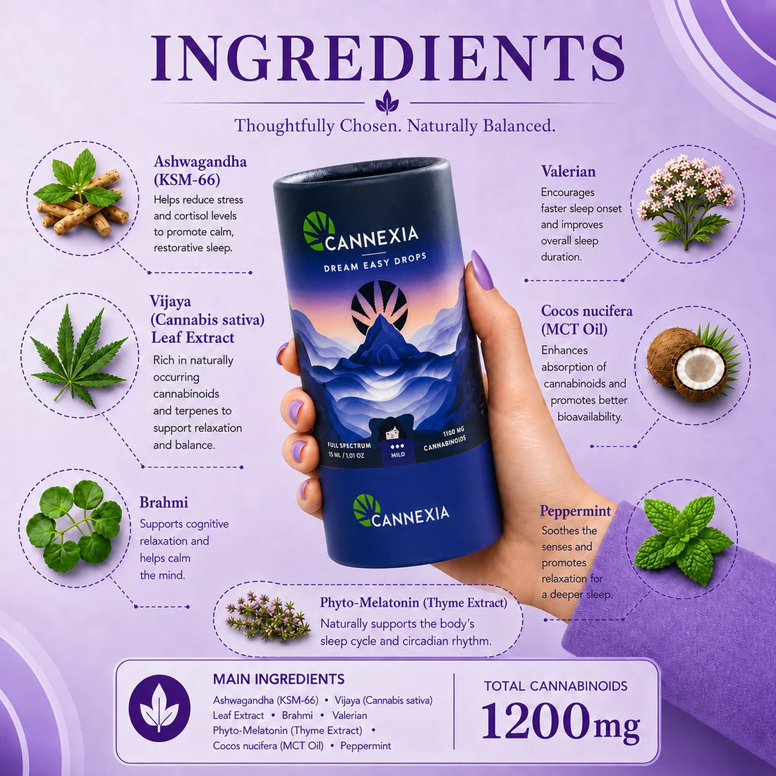 Dream Easy Drop – Botanical Sleep Blend with Vijaya Extract, Ashwagandha and Melatonin