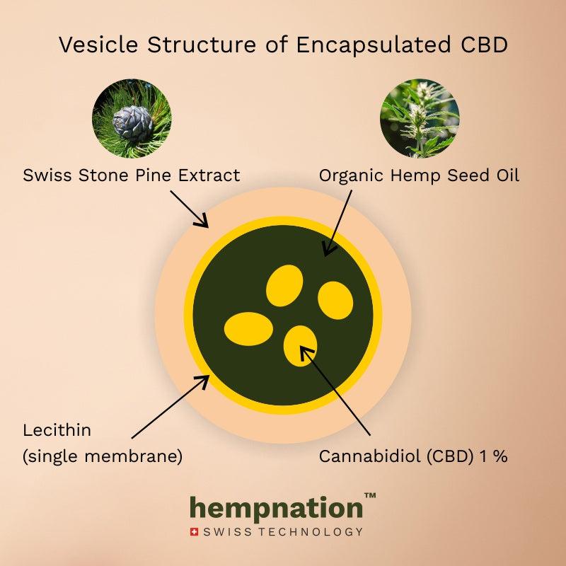 Hempnation Versatile Radiance Booster LotionLotionHempnation CBD Radiance Booster Lotion - Age-Defying | Calming, Repairing, UV Protection