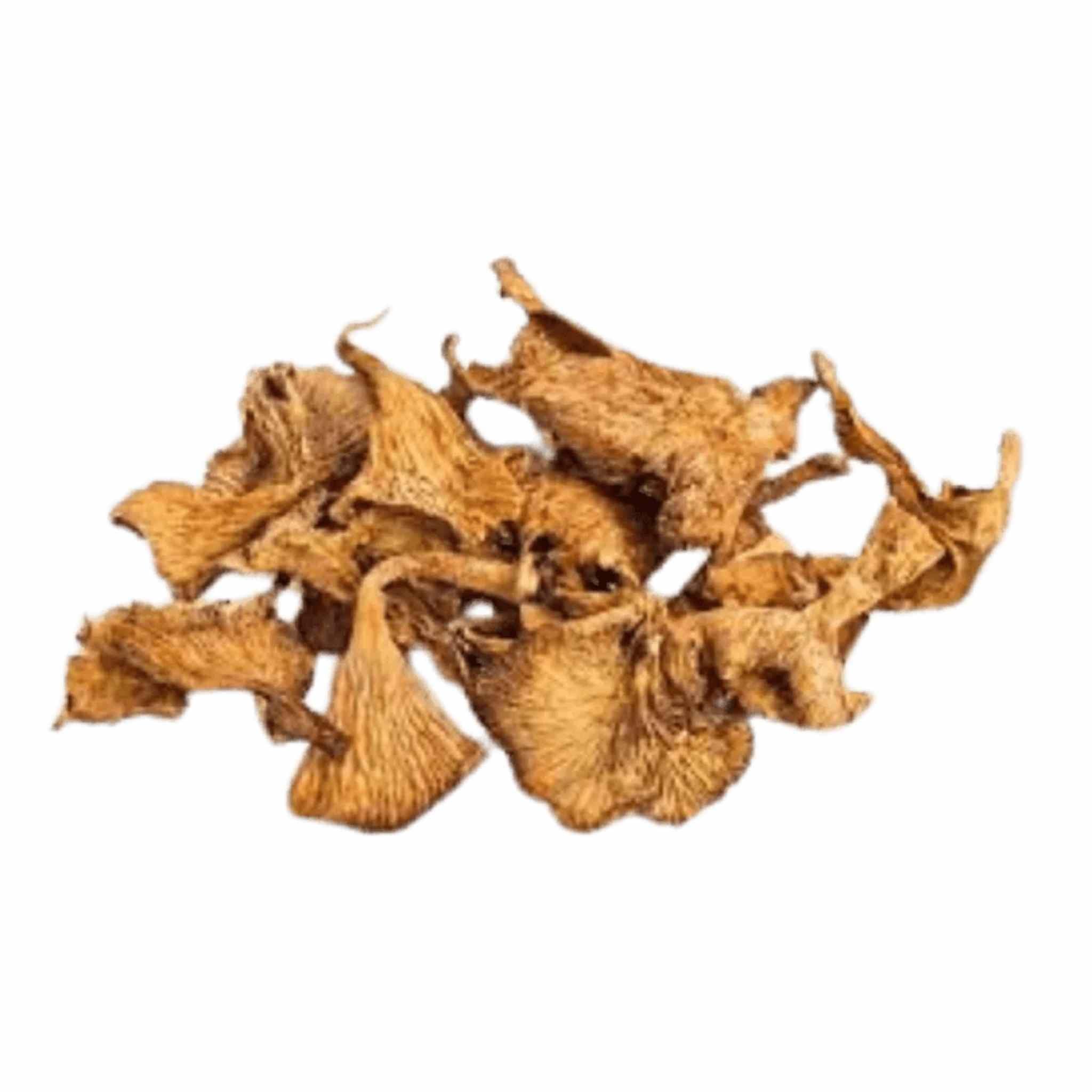 Planet Mushroom - Chanterelle DriedDried MushroomPlanet Mushroom - Chanterelle Dried | CBD Store India