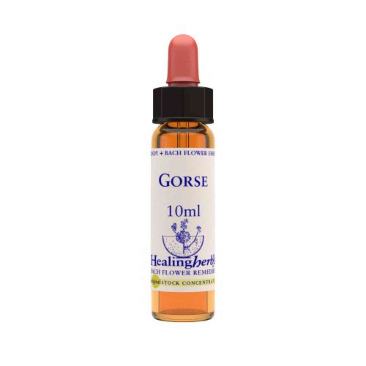 Vior Naturals - Gorse | Bach Flower Stock concentrate