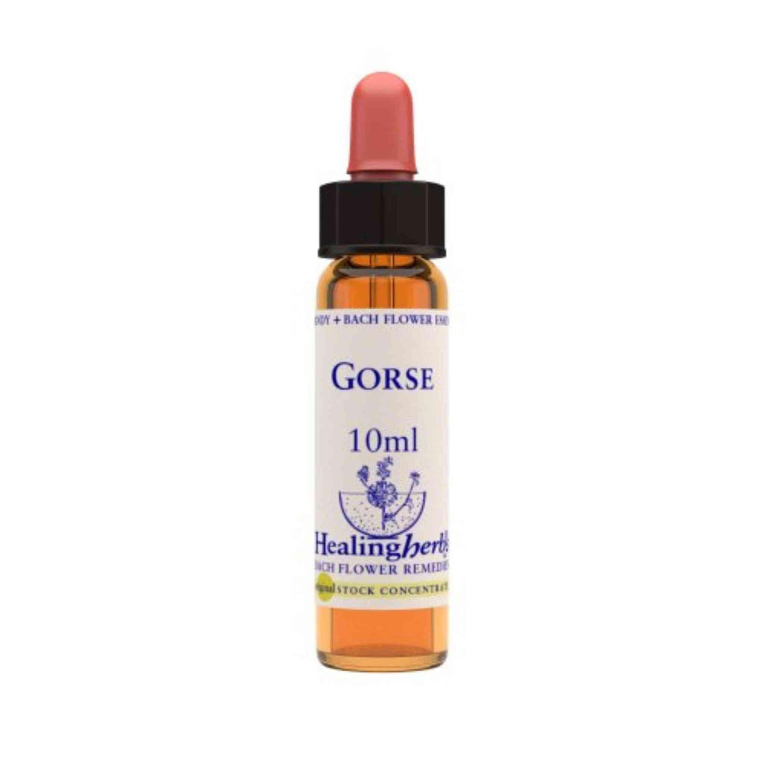 Vior Naturals - Gorse | Bach Flower Stock concentrateBach Flower RemediesVior Naturals Gorse | Bach Flower Remedy for Hopelessness