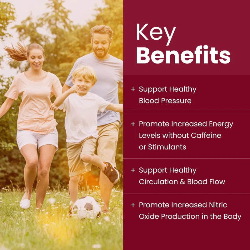 Rooted Actives Power Beets Drink Mix - Beetroot, BCAAs, L-Arginine & L-Carnitine (Watermelon Mint, 250g)